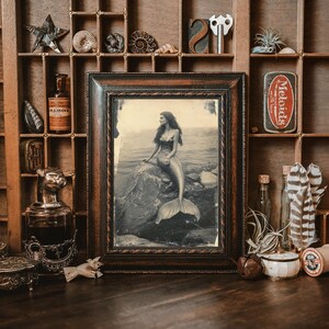 May include: A vintage framed photograph of a mermaid with long flowing hair, sitting on a rock in the ocean. The photo is in a dark wood frame with a rope design.