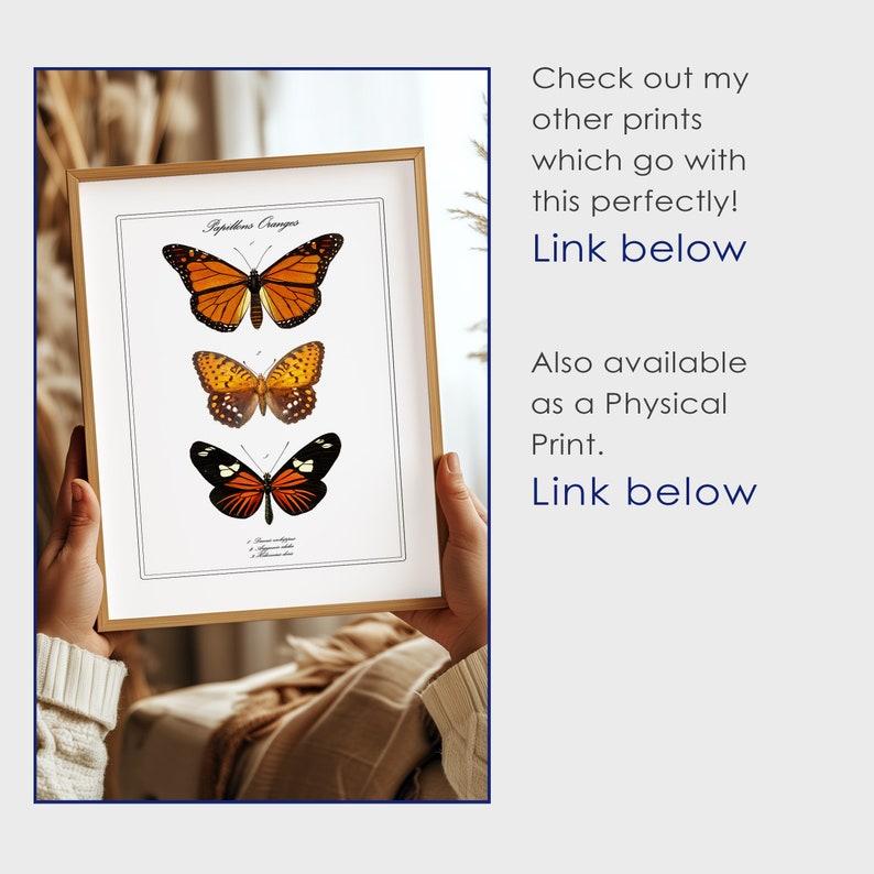 May include: A framed print featuring three butterflies with orange, black, and white wings. The print is titled "Pappillons Oranges" and is held by a person's hands.