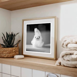Nursery Wall Art Whimsical Art Mint Green Square Print Bathroom Wall Art Art for Kid's Room, Cute Photograph, Funny Wall Print image 6