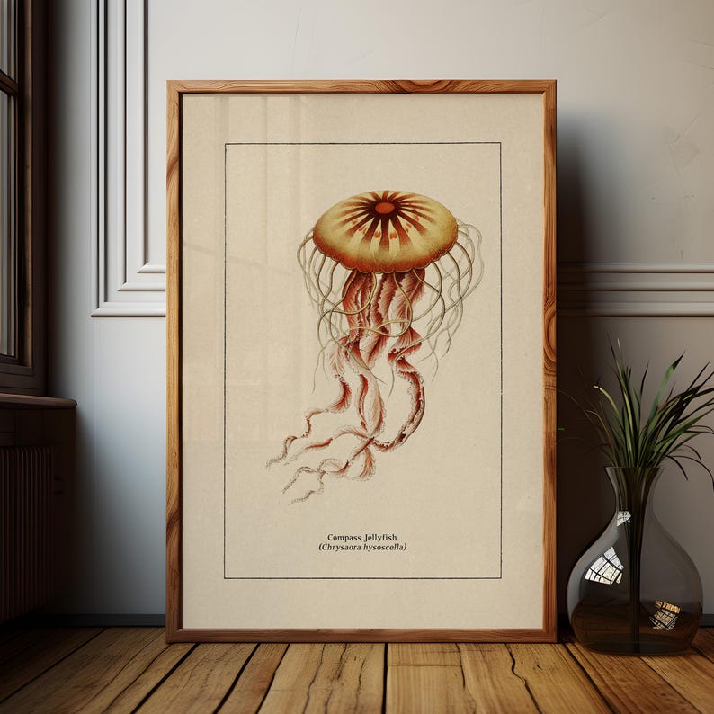 Väggkonst med havsliv för kustdekor, retro badrumstryck med havstema, vintage manetposter, naturhistorisk illustration, strandhusstämning bild 2