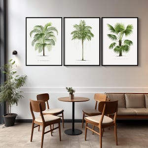 May include: Three framed botanical illustrations of palm trees with green leaves against a white background. The frames are black and the illustrations are in a vintage style. The frames are hanging on a white wall above a table and chairs in a cafe setting.