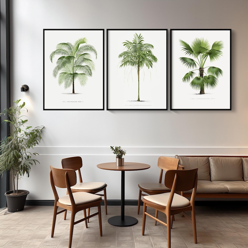 May include: Three framed botanical illustrations of palm trees with green leaves against a white background. The frames are black and the illustrations are in a vintage style. The frames are hanging on a white wall above a table and chairs in a cafe setting.