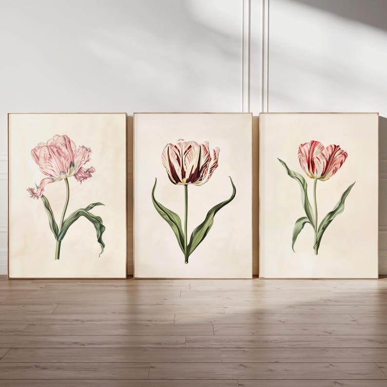 Botanical Wall Art Vintage Tulip Print Spring Decoration Living Room Decor Unframed Pink Red Flower Nature Art Bedroom Home Accent Floral Illustration Conservatory Decor Timeless Aesthetic