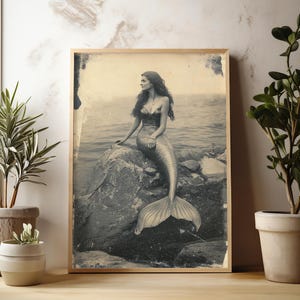 May include: A black and white vintage photograph of a mermaid sitting on a rock with her tail in the water. The mermaid is wearing a seashell bra and has long flowing hair.