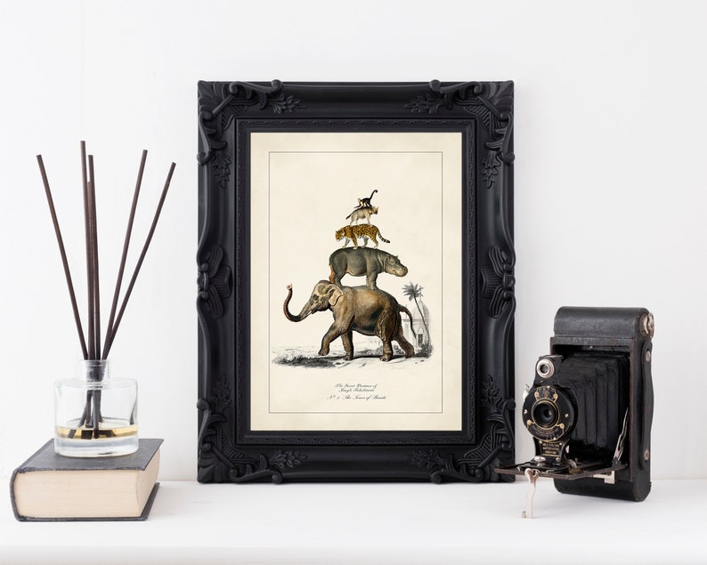 Surreal Art, Jungle Decor, Neutral Color Art, Elephant Print, Vintage Illustration, Eclectic Decor image 3