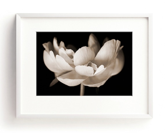Peony Print Flower Wall Art Large Floral Wall Art Black and White Fine Art Photograph Nature Print Botanical Print, Botanical Wall Art