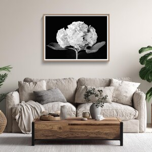 May include: Black and white framed print of a hydrangea flower. The floral artwork is displayed above a beige sofa with decorative pillows. A wooden coffee table and potted plants complete the living room scene.