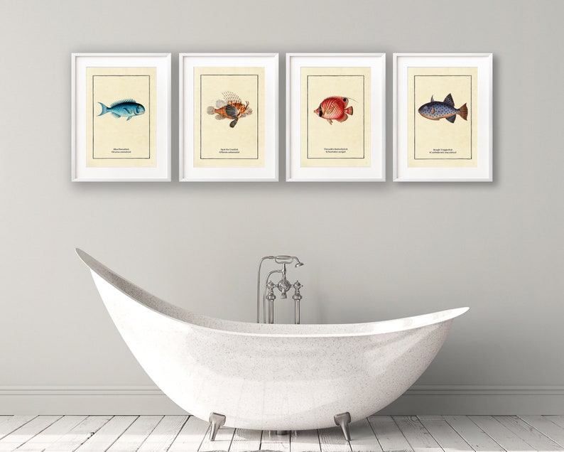 Set of 4 Vintage Fish Prints, Tropical Fish Minimalist Wall Art image 3