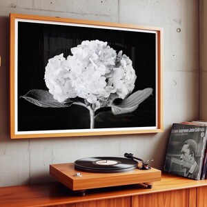 May include: A framed black and white photograph of a hydrangea flower hangs above a wooden record player. The record player sits on a wooden cabinet. Vinyl records are stacked to the right of the record player. An orange lamp hangs from the ceiling.