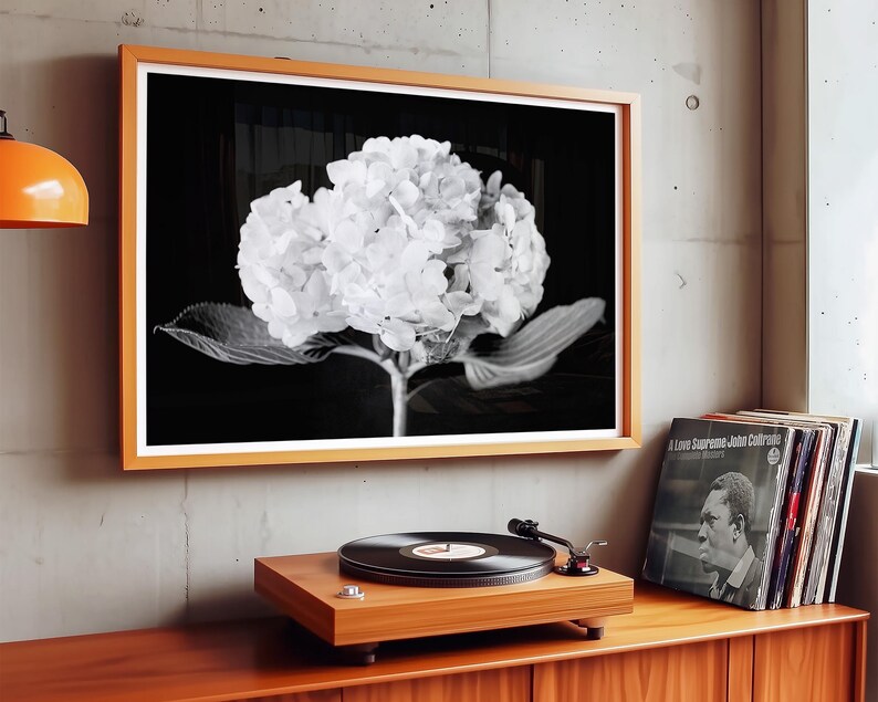 May include: A framed black and white photograph of a hydrangea flower hangs above a wooden record player. The record player sits on a wooden cabinet. Vinyl records are stacked to the right of the record player. An orange lamp hangs from the ceiling.