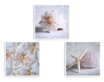 Beach Decor Sea Shell Prints Coastal Decor Set of 3 Prints Bathroom Wall Art Beach House Decor Sea Shell Wall Art Nautical Art