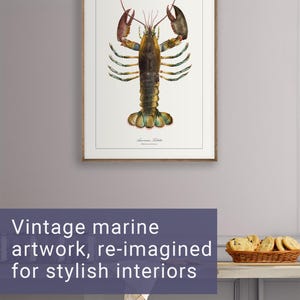 Vintage Coastal Decor Bathroom Art Sea Life Print for Academia Decor Olive Green Wall Art Lobster Print for Vintage Kitchen Restaurant Decor image 6