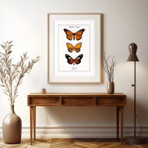 May include: A framed print of three butterflies with orange and black wings. The print is titled "Lepidoptera Orange" and is displayed on a wooden console table with a vase of dried branches.