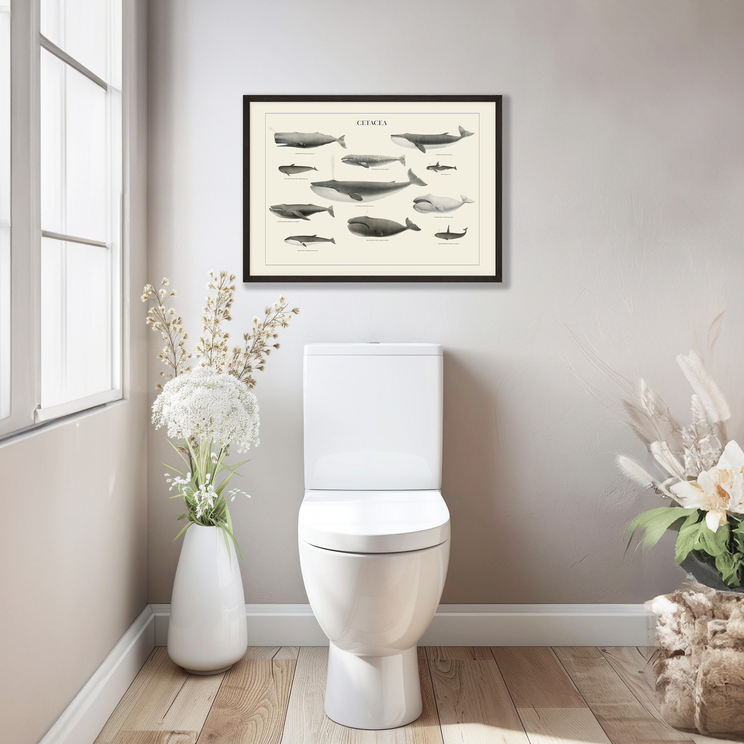 Vintage Whale Art Print for Coastal Decor Wall Art Humpback Whale Print ...