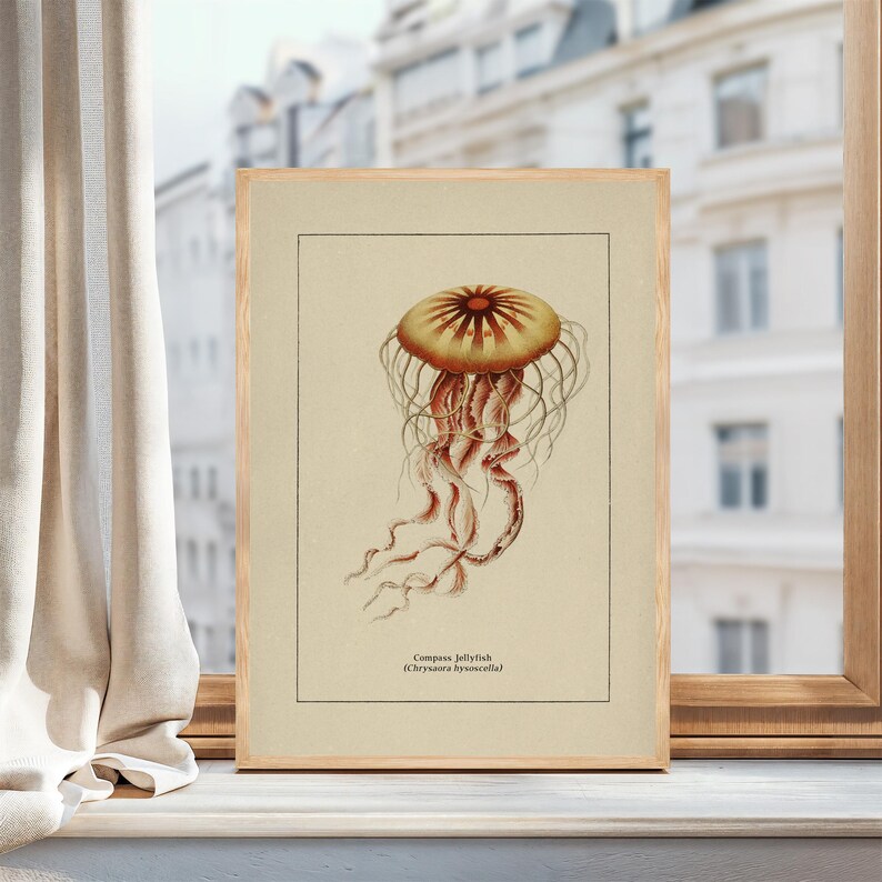 Väggkonst med havsliv för kustdekor, retro badrumstryck med havstema, vintage manetposter, naturhistorisk illustration, strandhusstämning bild 15