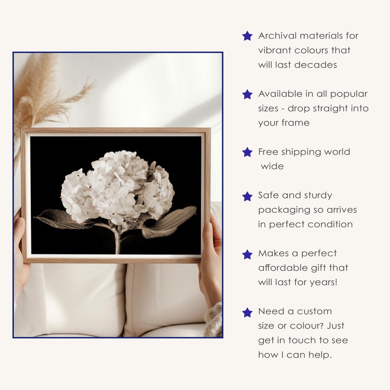 May include: A framed sepia-toned print of a hydrangea flower against a black background. The print is held by a person. Text on the right side of the image says "Archival materials for vibrant colours that will last decades."