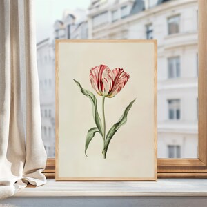 Botanisk väggkonst Vintage tulpantryck Vårdekoration Vardagsrumsinredning oramad Rosa Röd Blomma Naturkonst Sovrum Heminredning Blommor bild 5