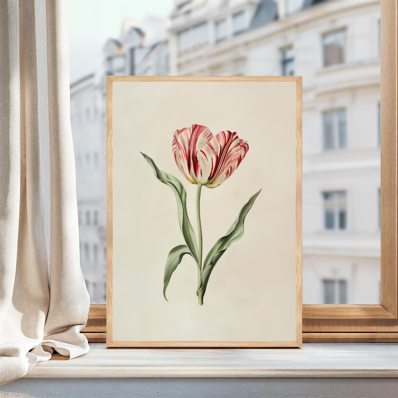 Botanisk väggkonst Vintage tulpantryck Vårdekoration Vardagsrumsinredning oramad Rosa Röd Blomma Naturkonst Sovrum Heminredning Blommor bild 5
