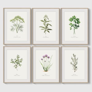 Juego de 6 cuadros de plantas de hierbas para decoración de pared de cocina vintage, ideas de regalo para nuevos carteles de jardines de hierbas, ideas para regalos de cocina