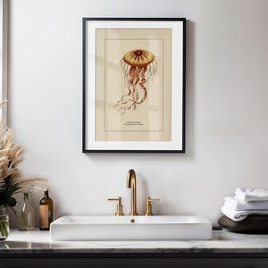 Väggkonst med havsliv för kustdekor, retro badrumstryck med havstema, vintage manetposter, naturhistorisk illustration, strandhusstämning bild 10