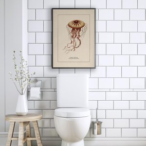 Väggkonst med havsliv för kustdekor, retro badrumstryck med havstema, vintage manetposter, naturhistorisk illustration, strandhusstämning bild 12