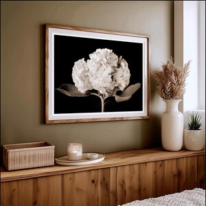 May include: A framed sepia-toned photograph of a hydrangea flower with a black background. The wooden frame is light brown. The photograph is hanging on a green wall. A white vase with dried plants and a small potted plant are on a wooden shelf.