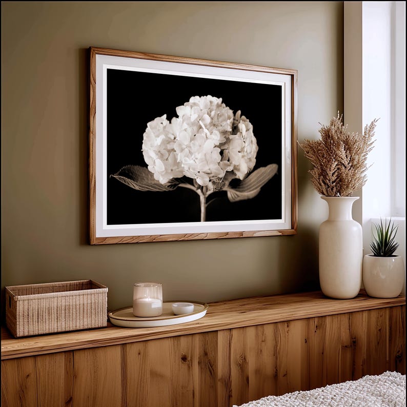 May include: A framed sepia-toned photograph of a hydrangea flower with a black background. The wooden frame is light brown. The photograph is hanging on a green wall. A white vase with dried plants and a small potted plant are on a wooden shelf.