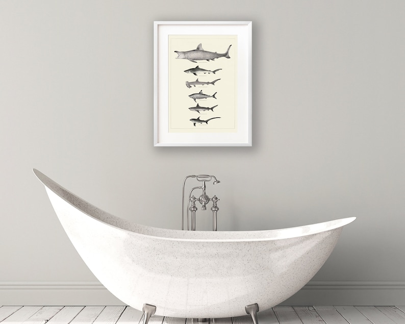 Vintage Shark Print Bathroom Wall Art Sharks Wall Art Etsy UK