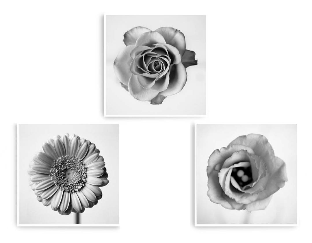 Set of 3 Square Prints Bedroom Wall Art Set Flower Etsy