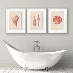 Vintage Bathroom Print Set Vinatge Seashell Prints Set of 3 Sea Shell ...