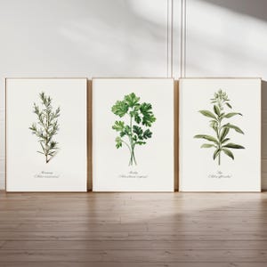 Vintage Küchen Dekor Set, Kräutergarten Dekoration, Geschenk für Küche, Küche, Garten, Zimmer, Deko, Geschenk zum Geburtstag