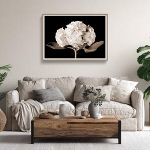 May include: A framed sepia-toned photograph of a white hydrangea flower against a black background. The artwork is displayed above a beige sofa with decorative pillows. The room is decorated with plants and a wooden coffee table.