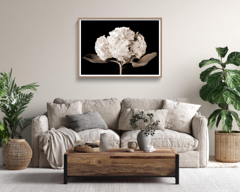 May include: A framed sepia-toned photograph of a white hydrangea flower against a black background. The artwork is displayed above a beige sofa with decorative pillows. The room is decorated with plants and a wooden coffee table.