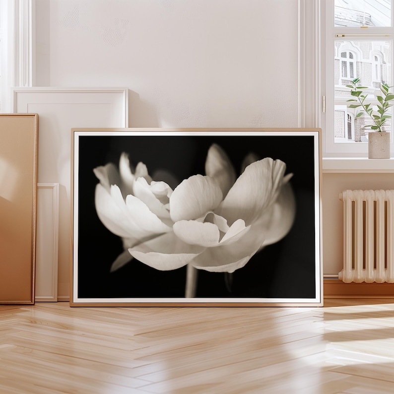 May include: A framed black and white photograph of a flower in full bloom. The petals are light-colored and detailed against a dark background. The photograph is displayed in a room with natural light.