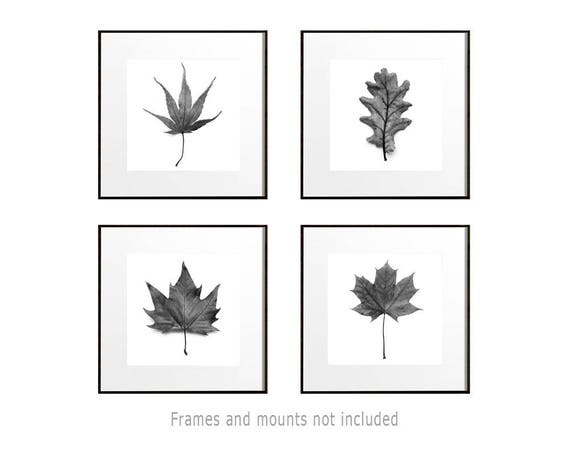 Rustic Nature Decor Large Botanical Prints Set of 4 Prints Leaf Art Wall Art Black and White Leaf Print Set Square Print Set