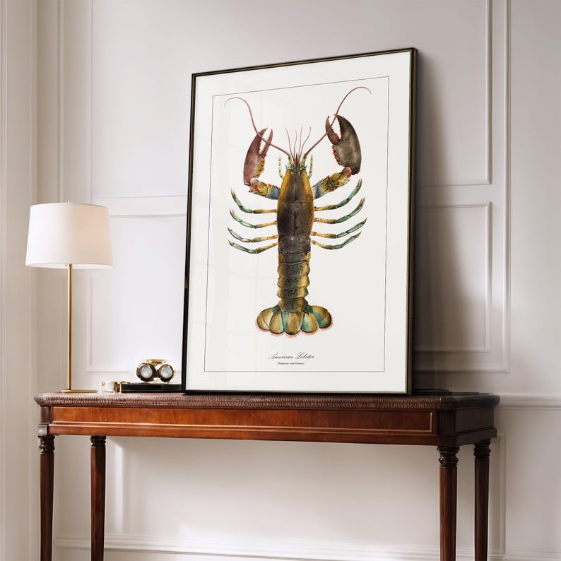 May include: A vintage illustration of an American Lobster, with a white background and the text "American Lobster" at the bottom.