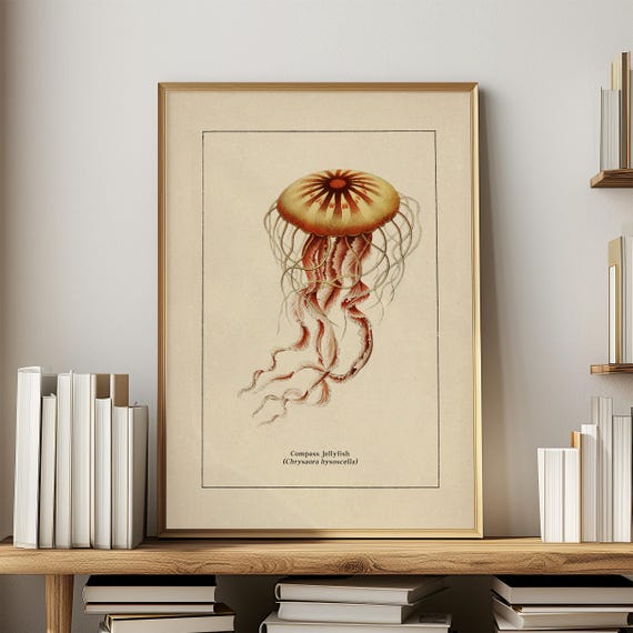 Sea Life Wall Art for Coastal Decor Retro Ocean Theme Bathroom Print Vintage Jellyfish Poster Natural History Illustration Beach House Vibe