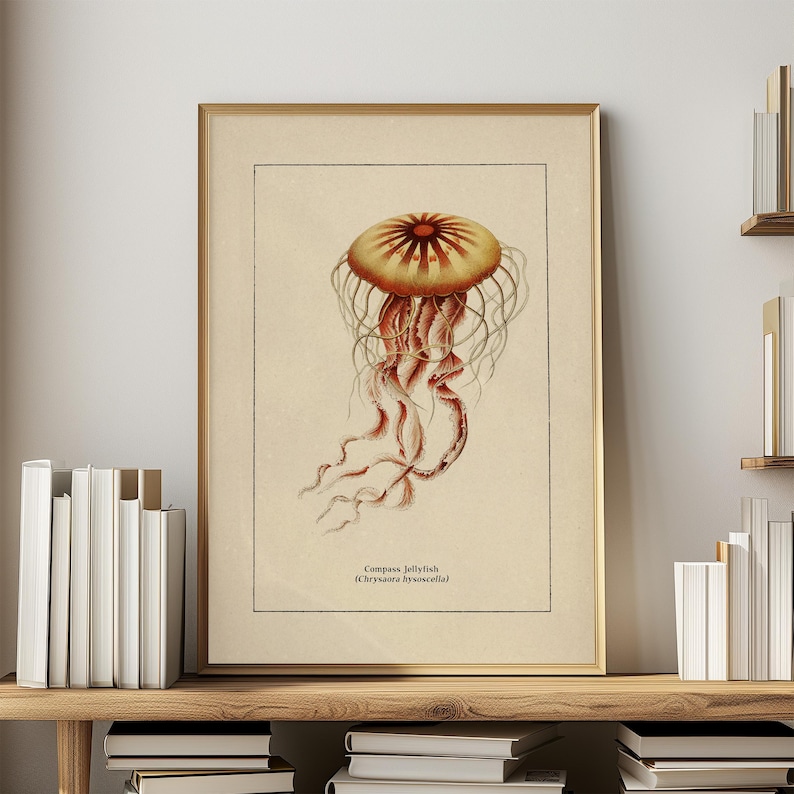 Väggkonst med havsliv för kustdekor, retro badrumstryck med havstema, vintage manetposter, naturhistorisk illustration, strandhusstämning bild 1