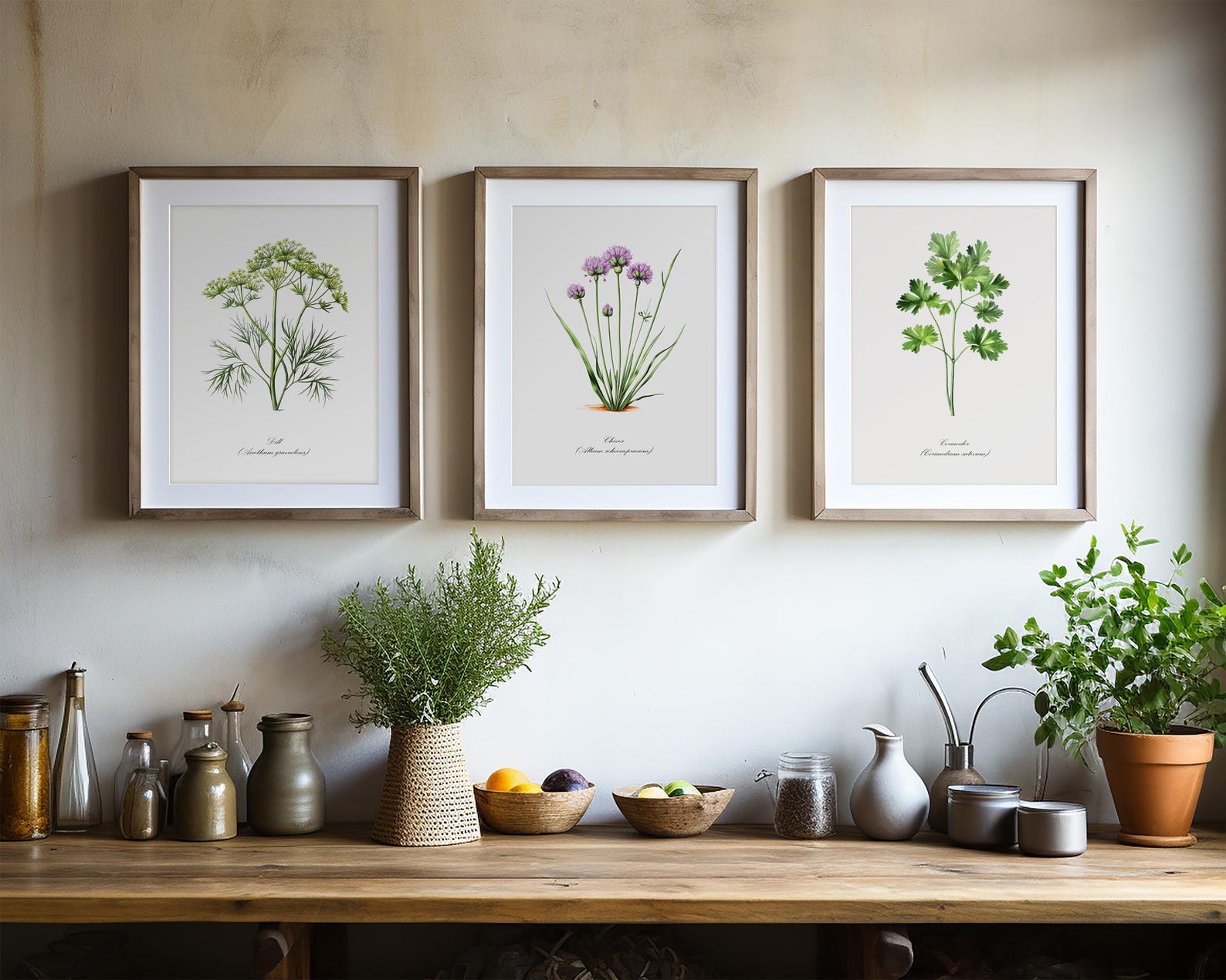 Vintage Kitchen Wall Art Herb Plant Paintings Set of 6 Prints for ...