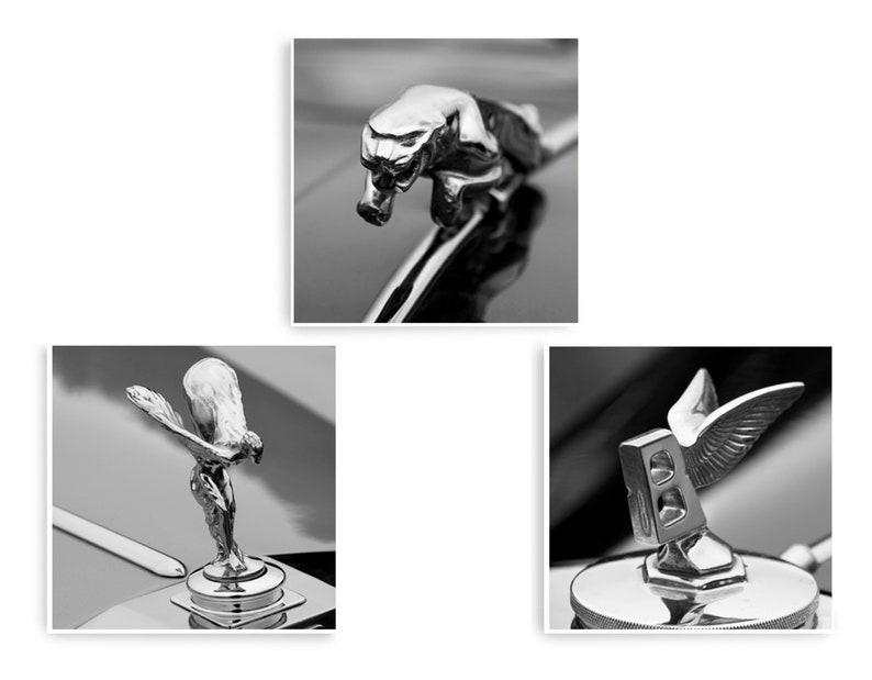 Classic Car Wall Art Set of 3 Prints Square Print Set Hood Etsy