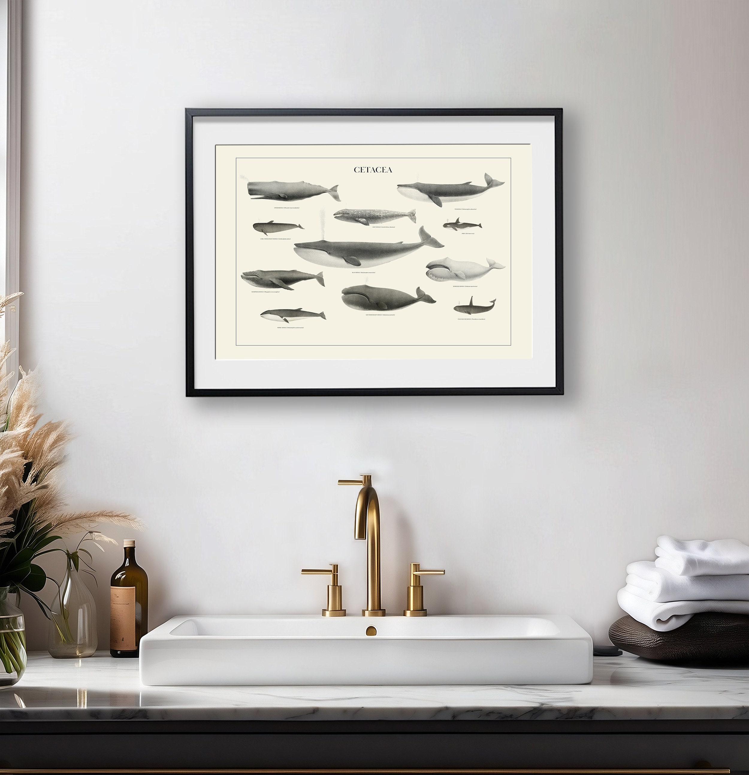 Vintage Whale Art Print for Coastal Decor Wall Art Humpback Whale Print ...