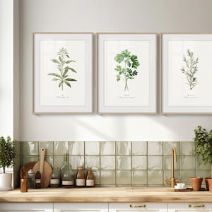 Vintage Kitchen Wall Art Herb Plant Paintings Set of 6 Prints for ...