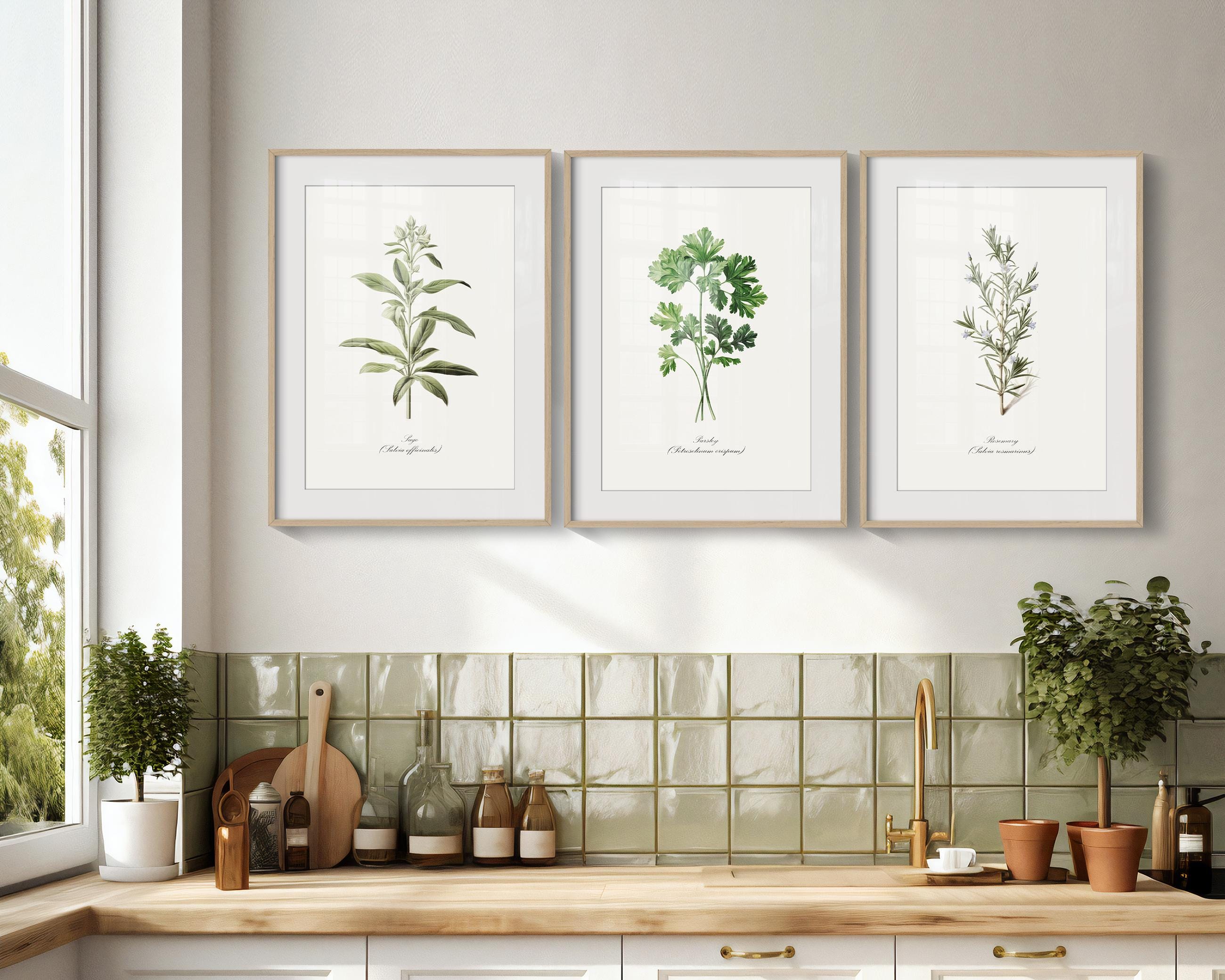 kitchen wall decor art prints - botanical prints -... Vintage Kitchen Wall Art Herb Plant Paintings Set of 6 Prints for ...