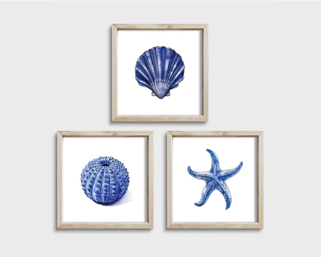 Coastal Wall Art Set Beach House Decor Blue Sea Life Print Nautical ...