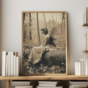 May include: Sepia-toned framed print of a fairy in a forest. The fairy, wearing a flowing dress and large wings, sits on a log. The background features a blurred forest scene with trees and fallen leaves. The print is displayed on a wooden shelf with books.