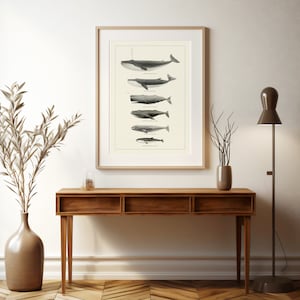 May include: A framed black and white illustration of different types of whales, including a blue whale, a humpback whale, a sperm whale, a fin whale, a minke whale, and a gray whale. The illustration is on a white background and is framed in a simple wooden frame.