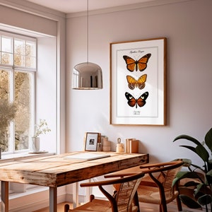May include: A framed print of three butterflies with orange and black wings. The print is hanging on a white wall above a wooden table with two chairs.