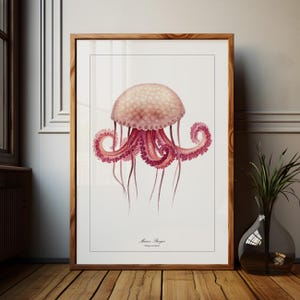 Vintage Jellyfish Print Bathroom Wall Art Aquatic Wall Art Antique Sealife Illustration Sealife Drawings