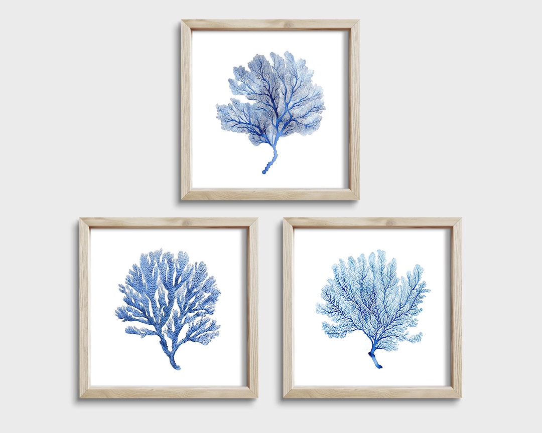 Blue Coral Wall Art Set of 3 Modern Coastal Prints for Minimalist
