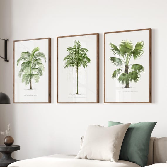 Vintage Botanical Decor Palm Trees Wall Art Maximalist Decor Gallery Wall Print Set Green Tropical Jungle Posters Eclectic Living Room Art